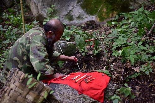 打猎挖参我携妻儿逆袭人生,一家三口逆袭人生传奇
