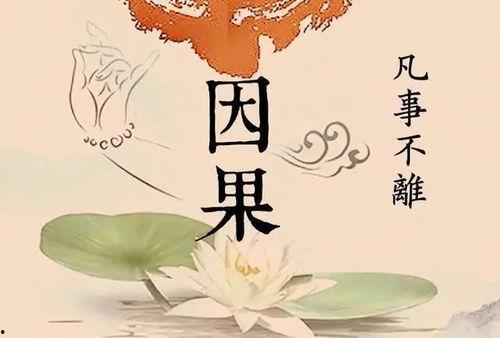 因果报应 2025,因果报应下的时代变迁与启示