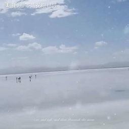 零落期如许,探寻岁月流转中的生命轨迹