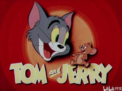 猫和老鼠,一场欢乐的追逐战